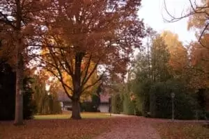 Patentag in der Wildstation Landshut