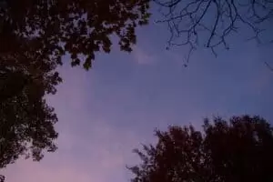 Patentag in der Wildstation Landshut