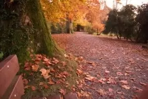 Patentag in der Wildstation Landshut