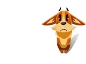 Den s ošetřovateli v Záchranné stanici Landshut