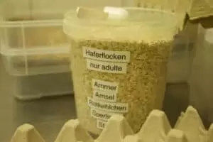 Den s ošetřovateli v Záchranné stanici Landshut