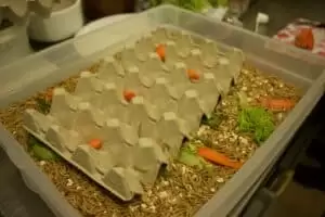 Den s ošetřovateli v Záchranné stanici Landshut