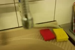 Den s ošetřovateli v Záchranné stanici Landshut