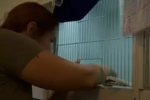 Den s ošetřovateli v Záchranné stanici Landshut