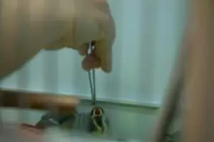 Den s ošetřovateli v Záchranné stanici Landshut