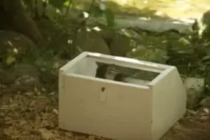 Den s ošetřovateli v Záchranné stanici Landshut