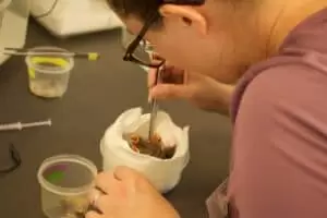 Den s ošetřovateli v Záchranné stanici Landshut