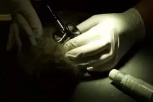 Den s ošetřovateli v Záchranné stanici Landshut