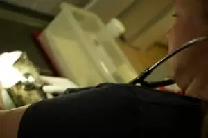 Den s ošetřovateli v Záchranné stanici Landshut