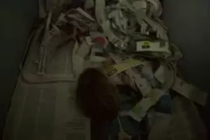 Den s ošetřovateli v Záchranné stanici Landshut