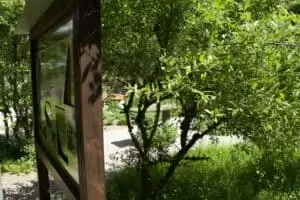 Den s ošetřovateli v Záchranné stanici Landshut