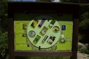 Den s ošetřovateli v Záchranné stanici Landshut