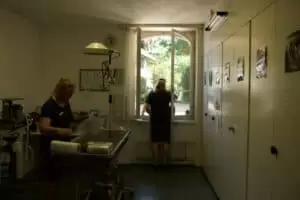 Den s ošetřovateli v Záchranné stanici Landshut