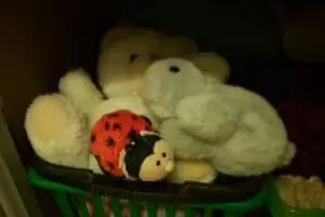 Den s ošetřovateli v Záchranné stanici Landshut