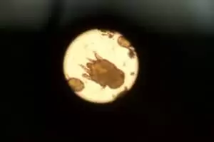 Den s ošetřovateli v Záchranné stanici Landshut