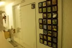 Den s ošetřovateli v Záchranné stanici Landshut