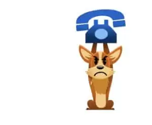 Den s ošetřovateli v Záchranné stanici Landshut