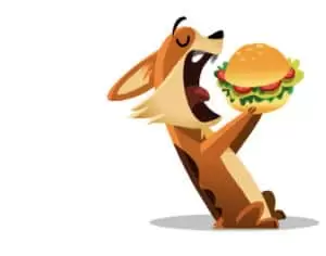 Den s ošetřovateli v Záchranné stanici Landshut