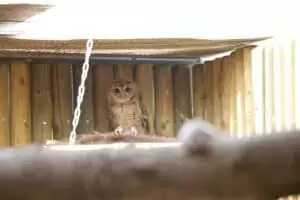 Den s ošetřovateli v Záchranné stanici Landshut