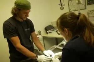 Den s ošetřovateli v Záchranné stanici Landshut