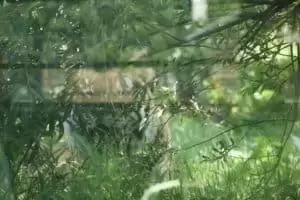 Toulky domovem 8. Zoo Hodonín