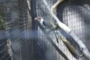 Toulky domovem 8. Zoo Hodonín