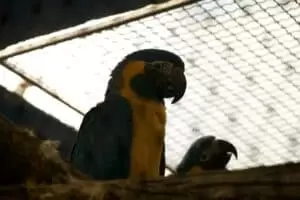 Toulky domovem 8. Zoo Hodonín