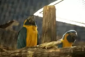 Toulky domovem 8. Zoo Hodonín