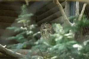 Toulky domovem 8. Zoo Hodonín