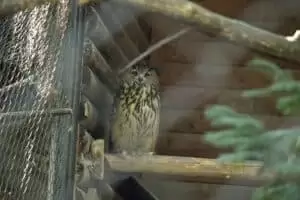 Toulky domovem 8. Zoo Hodonín