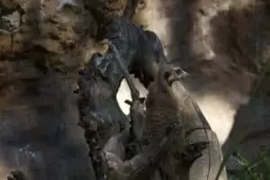 Toulky domovem 8. Zoo Hodonín