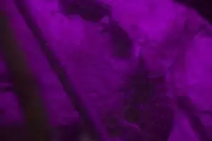 Toulky domovem 8. Zoo Hodonín