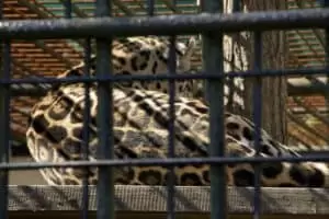 Toulky domovem 8. Zoo Hodonín