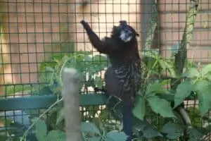 Toulky domovem 8. Zoo Hodonín