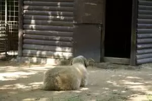 Durch die Tschechei 8. Zoo Göding