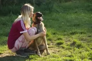 Tierheim "Im Namen des Hundes" in Bisenz