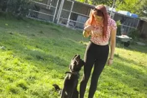 Tierheim "Im Namen des Hundes" in Bisenz