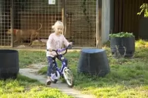 Tierheim "Im Namen des Hundes" in Bisenz