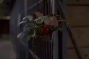 Tierheim "Im Namen des Hundes" in Bisenz