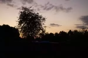 Tierheim "Im Namen des Hundes" in Bisenz