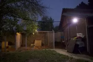 Tierheim "Im Namen des Hundes" in Bisenz