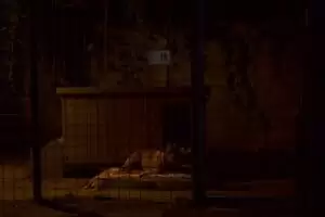 Tierheim "Im Namen des Hundes" in Bisenz