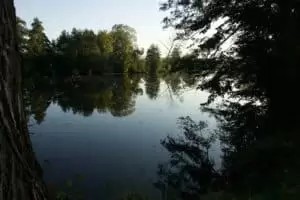 Petice na Záchranu Hřebčína Napajedla