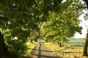 Petice na Záchranu Hřebčína Napajedla