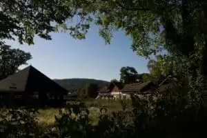 National Gestüt Napajedl