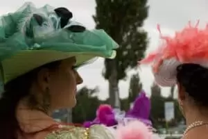 National Gestüt Napajedl