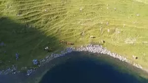 Salaš Riggisalp a Rainlihuus