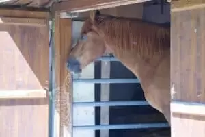 Salaš Riggisalp a Rainlihuus