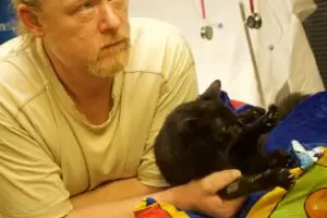 Mit Herz für Katzen