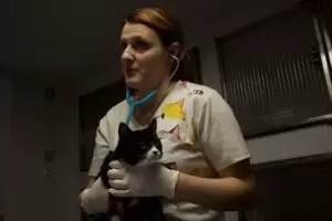 Mit Herz für Katzen